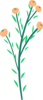 Cute flower cartoon flat design. png