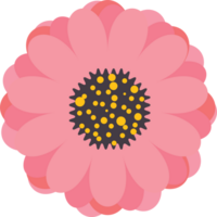 Cute flower cartoon flat design. png