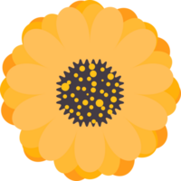 Cute flower cartoon flat design. png