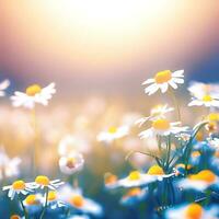 Green meadow with daisy flowers and natural backgrounds for your design. ai-generated photo