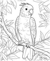 easy parrot coloring pages vector