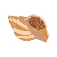 Cartoon Vector illustration seashell icon Isolated on White Background