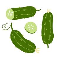 Set of bright green cucumbers. Can be used for menu, packaging, textiles. Vector illustration isolated on white background.