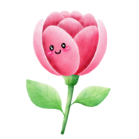 Watercolor and painting blossom cute pink tulip flower cartoon element. Digital painting of flora and nature illustration. Mother day png