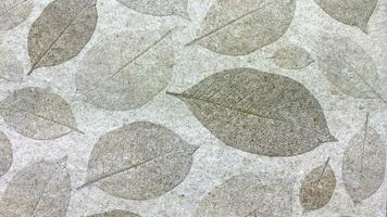 Roca textura fondo, hermosa textura para diseño. foto