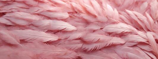 Soft pink feathers texture background. Swan Feather. AI generated photo