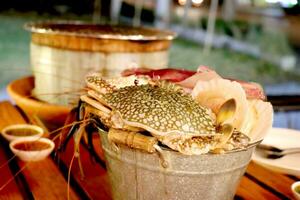 Fresh seafood in zinc tank such as crab, octopus, and shell for preparing the grilling in the restaurant photo