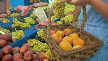 mujer poniendo uvas dentro cesta en el calle mercado video