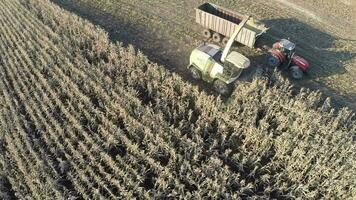 Aerial shot of wheat harvesting in the field video