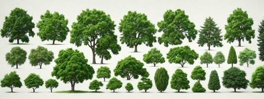 Set of green trees isolated on white background. Different kinds of tree collection. AI generated photo