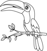 Toucan bird line art for coloring book page vector