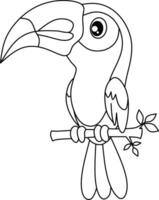 Toucan bird line art for coloring book page vector