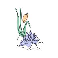 Line art style drawing water lily flower and reed. Simplified image of wetland plants. Outline vector illustration.