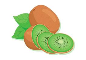 Tasty kiwi fruits cut into slices vector illustration isolated on white background