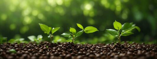 Growth Trees concept Coffee bean seedlings nature background Beautiful green. AI generated photo