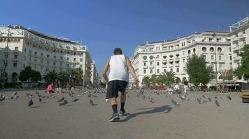 jong Mens maken gewelf Aan de plein met duiven video