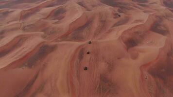 un zumbido moscas terminado patio bicicletas conducción mediante el arena dunas de el Desierto en el unido árabe emiratos aéreo ver video
