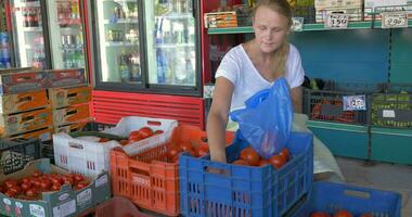 mulher escolhendo tomates dentro fazer compras video