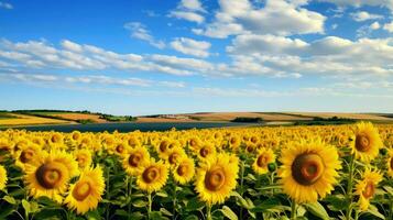 naturaleza costero girasol campos ai generado foto