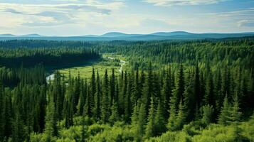 paisaje ruso taiga claros ai generado foto