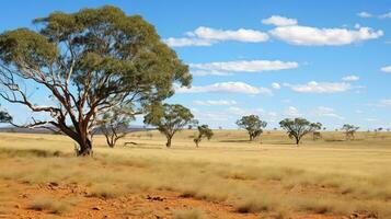 travel australian bushland arid ai generated photo