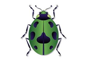 Green Beetle Vector Art. Green Ladybug Clipart Isolated on White Background