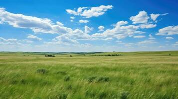 grass summer green prairie ai generated photo