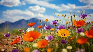 saguaro sonoran desert flowers ai generated photo