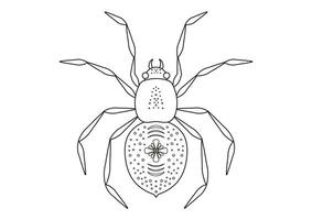 Black and White Spider Clipart Vector isolated on White Background. Coloring Page of a Spider