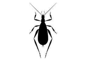 Black and White Tree Cricket Clipart Vector isolated on White Background