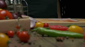 professionale capocuoco salatura pollo filetto bistecca, vicino su lento movimento video