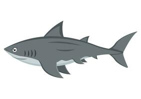 tiburón dibujos animados personaje vector aislado en blanco antecedentes