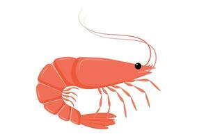 camarón dibujos animados personaje vector plano diseño. vector ilustración de mar comida