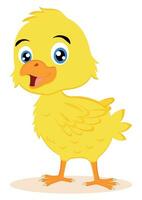 Cute baby chicken cartoon character vector illustration on white background