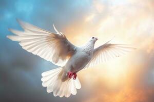 White dove flying on sky in beautiful light AI Generated, AI Generative photo