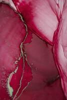 Painting created with alcohol ink. Soft smooth color transitions combined with clear gold and silver edges. Blue, pink, green abstract color combination. photo
