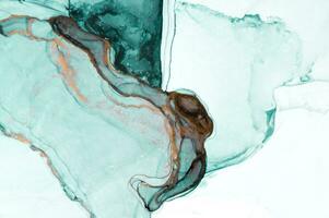 Abstract created using the technique of Alcohol ink. Macro photography of the smallest details of a panting. The panting shows how overflows of shades and colors of paint resemble space motifs. photo