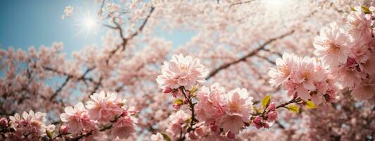 primavera frontera o antecedentes Arte con rosado florecer. hermosa naturaleza escena con floreciente árbol y Dom llamarada. ai generado foto