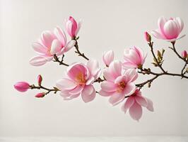 Pink spring magnolia flowers branch. AI generated photo