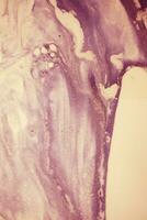 Abstract created using the technique of liquid acrylic. Macro photography of the smallest details of a picture. The picture shows how overflows of shades and colors of paint resemble space motifs. photo