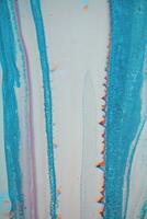 Abstract created using the technique of liquid acrylic. Macro photography of the smallest details of a picture. The picture shows how overflows of shades and colors of paint resemble space motifs. photo