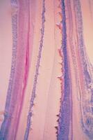 resumen creado utilizando el técnica de líquido acrílico. macro fotografía de el pequeñísimo detalles de un fotografía. el imagen muestra cómo desborda de sombras y colores de pintar asemejarse a espacio motivos foto