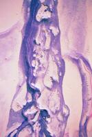 Abstract created using the technique of liquid acrylic. Macro photography of the smallest details of a picture. The picture shows how overflows of shades and colors of paint resemble space motifs. photo
