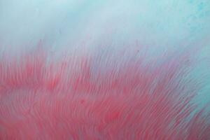 Abstract created using the technique of liquid acrylic. Macro photography of the smallest details of a panting. The panting shows how overflows of shades and colors of paint resemble space motifs. photo