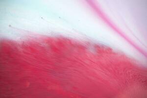 Abstract created using the technique of liquid acrylic. Macro photography of the smallest details of a panting. The panting shows how overflows of shades and colors of paint resemble space motifs. photo