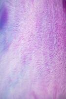 Abstract created using the technique of liquid acrylic. Macro photography of the smallest details of a picture. The picture shows how overflows of shades and colors of paint resemble space motifs. photo