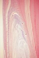 Abstract created using the technique of liquid acrylic. Macro photography of the smallest details of a picture. The picture shows how overflows of shades and colors of paint resemble space motifs. photo
