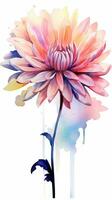 Colorful watercolor art. Isolated on white background. In a realistic manner, colorful, rainbow. Ideal for teaching materials, books and nature-themed designs. Paint splash icons. created by AI photo