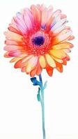 Colorful watercolor art. Isolated on white background. In a realistic manner, colorful, rainbow. Ideal for teaching materials, books and nature-themed designs. Paint splash icons. created by AI photo