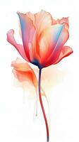 Colorful watercolor art. Isolated on white background. In a realistic manner, colorful, rainbow. Ideal for teaching materials, books and nature-themed designs. Paint splash icons. created by AI photo